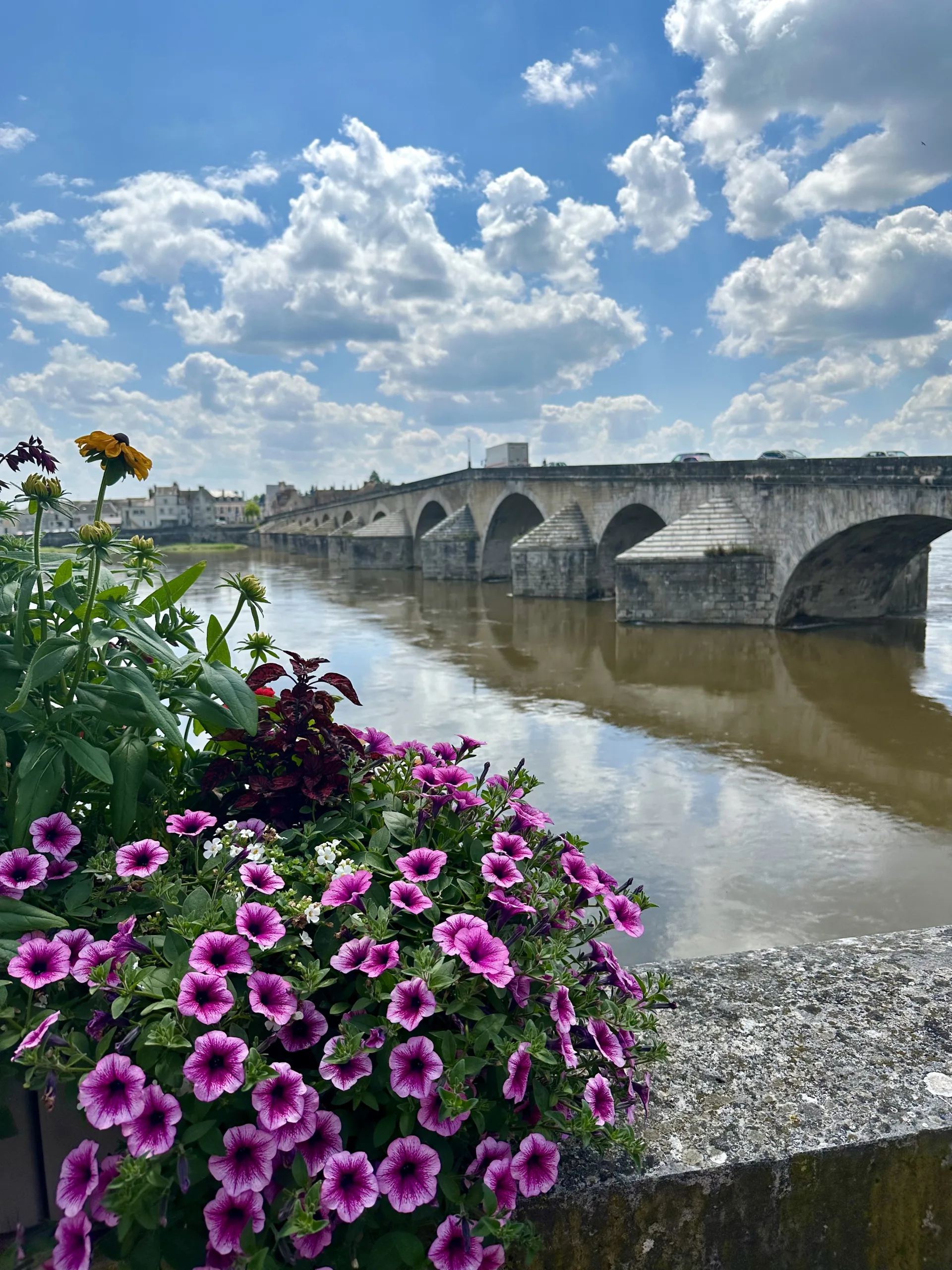 Voyage en Images dans le Giennois