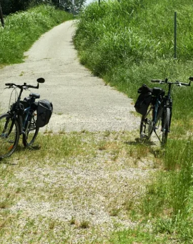 Cyclotourisme : nos engagements pour l’accueil des touristes à vélo